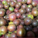 노천농장 이미지