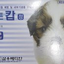 원주동물약국 이미지