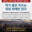 화양지구공인중개사사무소 이미지