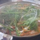 남해쭈꾸미 이미지