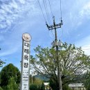 다래목장 | 청주 카페 추천 수제요거트부터 핑크뮬리 힐링포인트까지 가족나들이 데이코스 추천 '다래목장' 후기