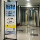 정자현대동물병원 네이버블로그