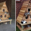 고양이집 이미지