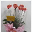 궁동어린이집 이미지