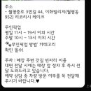 리코케이크 이미지