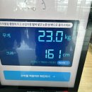 워홀… 쉽지 않다