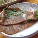 꿀참나무 이미지