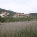 일오삼민박 이미지