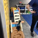 로키 스위밍 클럽 이미지