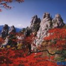 가을여행 이미지