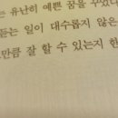 스테이모모