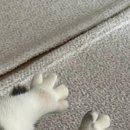 (주)처음마음 이미지