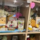 성남애견 이미지