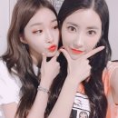 얌케이스 Daum카페