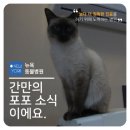 뉴욕동물병원 이미지