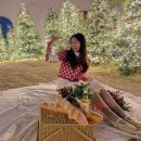 페어리무역 | 서울 종로 크리스마스 제이닷트리 페어리힐 팝업 포토존 꿀팁 미니트리 이벤트