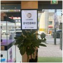 엔젤펫애견샵 | 펫캐슬 의정부 애견샵 다녀온 솔직 후기