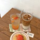 조선라이즈 | 7월 일상 | 라이즈 콘서트, 사가정 휠러즈, 상수 TYPE, 태릉입구 시즌 앳 홈, 웨스틴 조선 서울...