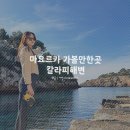 Playa | 마요르카 가볼만한곳 에메랄드빛 해변 칼라피(Playa de Cala Pi) 2월 방문 후기