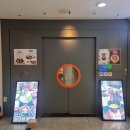 스키당 - 마포구 백범로20길 12 | 교대역 점심 회식 1인 스키야키 스키당 내돈내산 후기