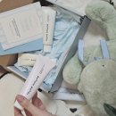 어라운드 크림 | 연말선물 추천 파자마 컨셉 라운드어라운드 센티드 핸드크림 4종 후기