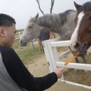 성심목장 이미지