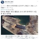 레바논 폭발 관한 질산 암모늄으로 유포 유도되는 한국 관련 이야기에 대해 이미지