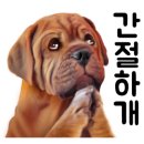 노산동물병원
