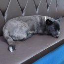 심청이수산 이미지