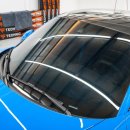 광진 pet 이미지