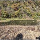 땅대박공인중개사사무소 이미지