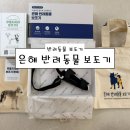 은해보조기 | [보조기] 은해 반려동물 보조기 후기 (슬개골 재활보조기 맞춤제작)