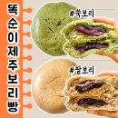 [내돈]제주빵지순례 추천 똑순이 제주 보리빵, 찐빵 좋아한다면 무조건!