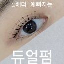 오늘 뷰티