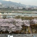 중랑천 뚝방길 (옥외23) | 쉬운게없다 (장안동삼성래미안2단지)