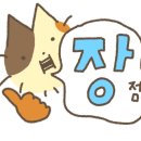라쿤피자 이미지