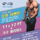 이엘 PT 이미지