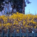 한국아파트 앞 이미지