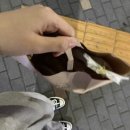 파리바게뜨(정왕역점) 이미지