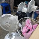 신일전파사