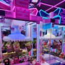 둘리인형뽑기 송산점 | 아이랑 남포동 인형뽑기 성지 태닝키티 뽑기 성공