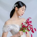 로아나블랑 이미지
