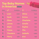 2023년 미국에서 가장 인기 있는 아기 이름 이미지