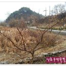 농부의뜰 Daum카페