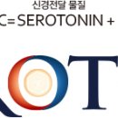 세로톤 의료기 이미지