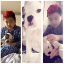 강아지 사랑 이미지