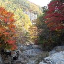 산중농원 이미지