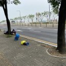 팔달로 이미지