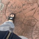 화진약국 | 행보칸 3월