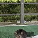 강동석정형외과의원 | 의정부 인대 파열 강동석정형외과 MRI 연계 후기